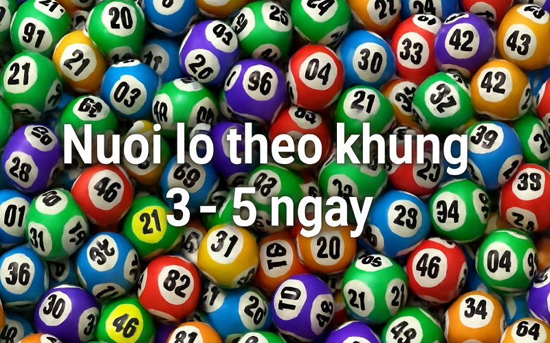 Nuôi lô theo khung 3 - 5 ngày