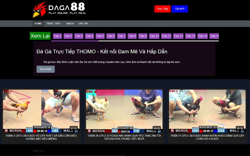 Sơ lược về website Daga88
